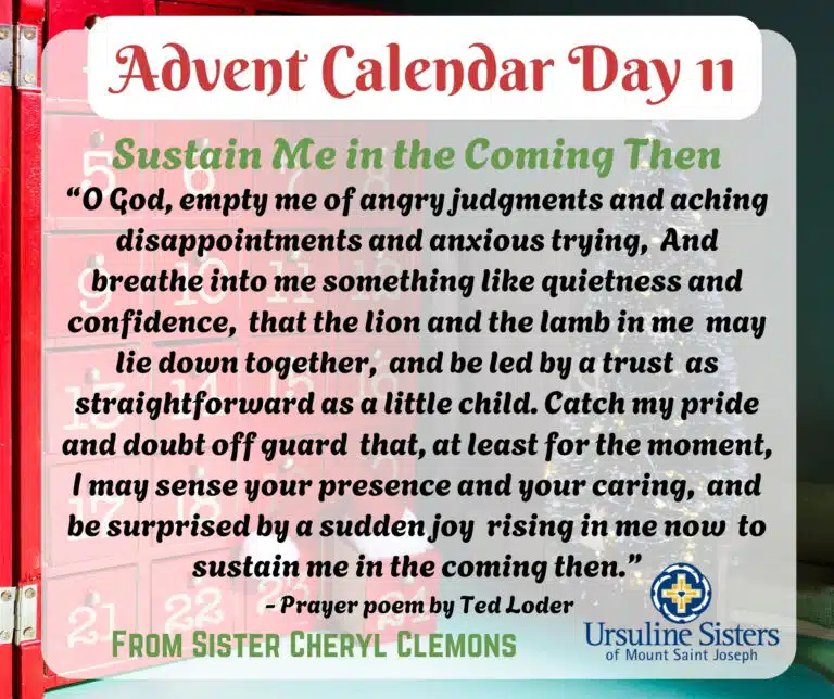 Advent calendar Day 11 Advent calendar Day 11