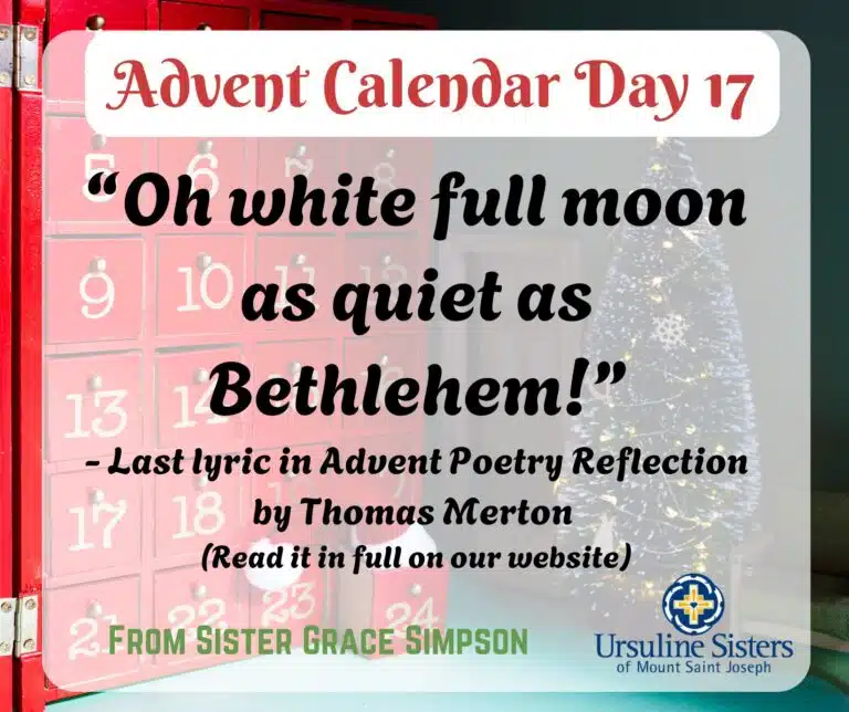Advent calendar Day 17 Advent calendar Day 17