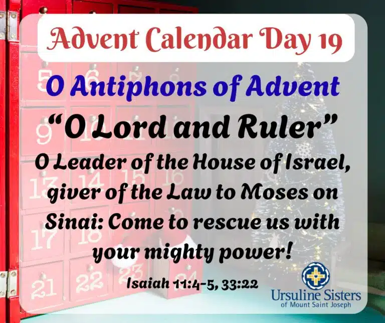 Advent calendar Day 19 Advent calendar Day 19