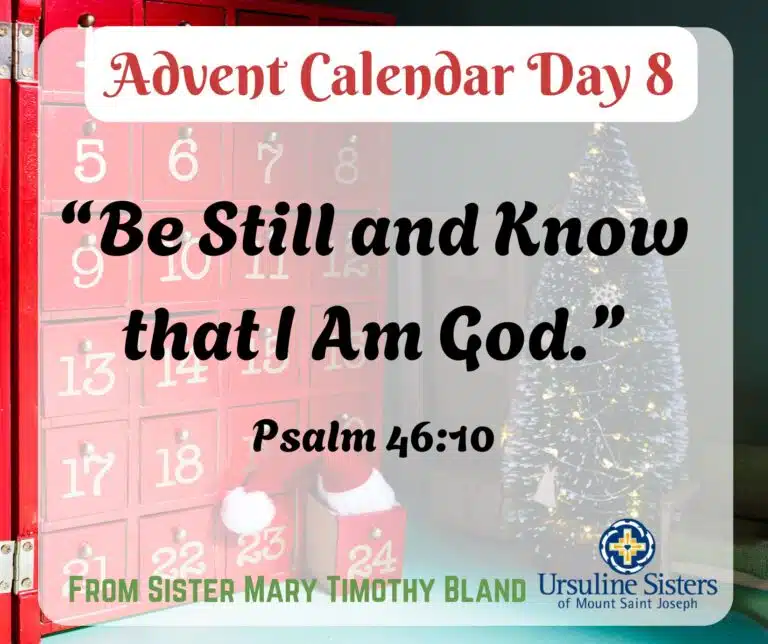 Advent calendar Day 8