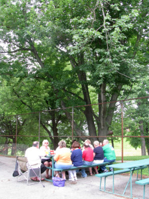 Blessed Mother lunch in park 6-27-13 (1)