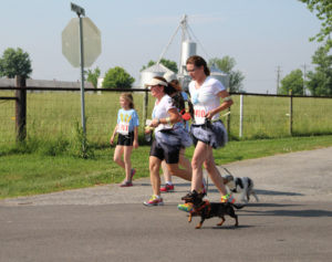 Dog runner