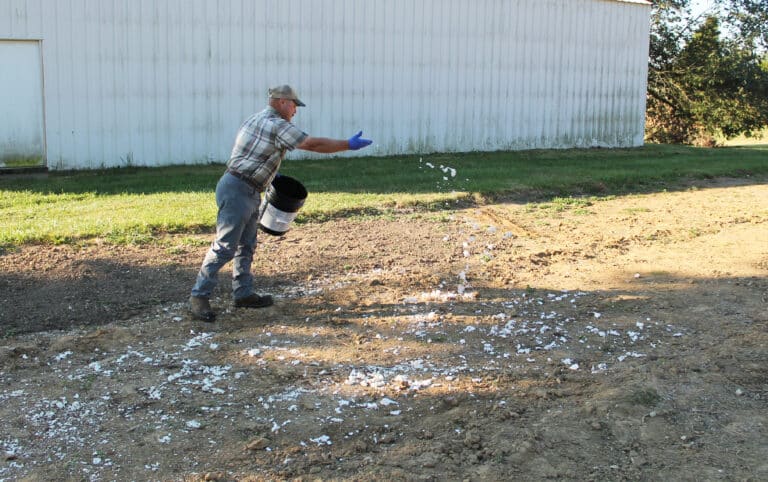 Mike Stelmach, farm lead for the Ursuline Sisters, tosses egg shells on the garden spot where he will plant tomatoes in 2024.