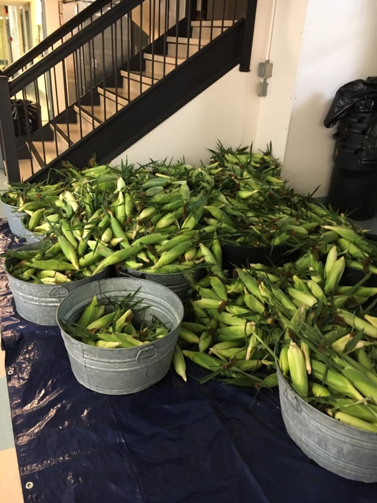 The batch of corn that arrived the next day.
