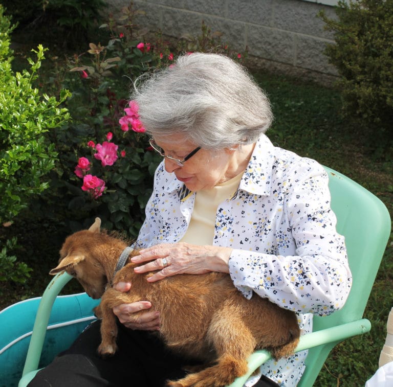Sister Catherine Barber provides a gentle spot for Flower to visit.