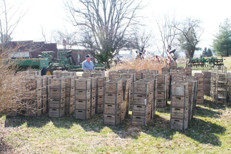 A potential bidder counts up the “antique milk cartons” as they were advertised. The dairy operation at the Mount ended in 1984, but in more recent years the community used the crates to collect potatoes for storage.