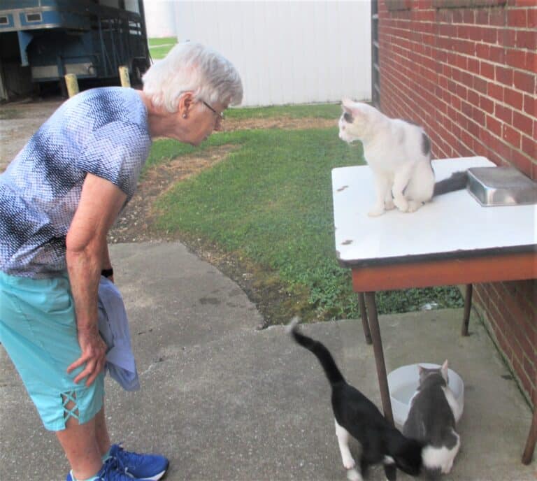 Sister Jane Falke, who serves in Mission, Kan., seems to have found a way to communicate with the barn cats.