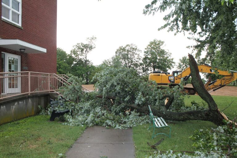 The largest limb to fall fell from a maple tree and blocked the entrance to Lourdes Hall, cutting off access to the front parking lot to administrative staff.