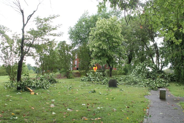 The largest number of limbs fell around the Rosary Walk on the front of campus.