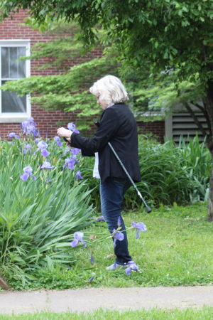 Martha Sedberry takes a close-up of the irises blooming on the Maple Mount campus.